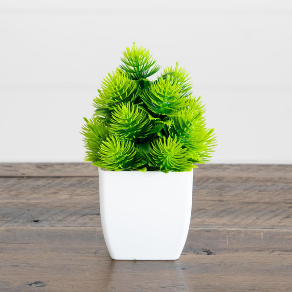 6” Artificial Mixed Succulent in White Square Pot - Set of 3