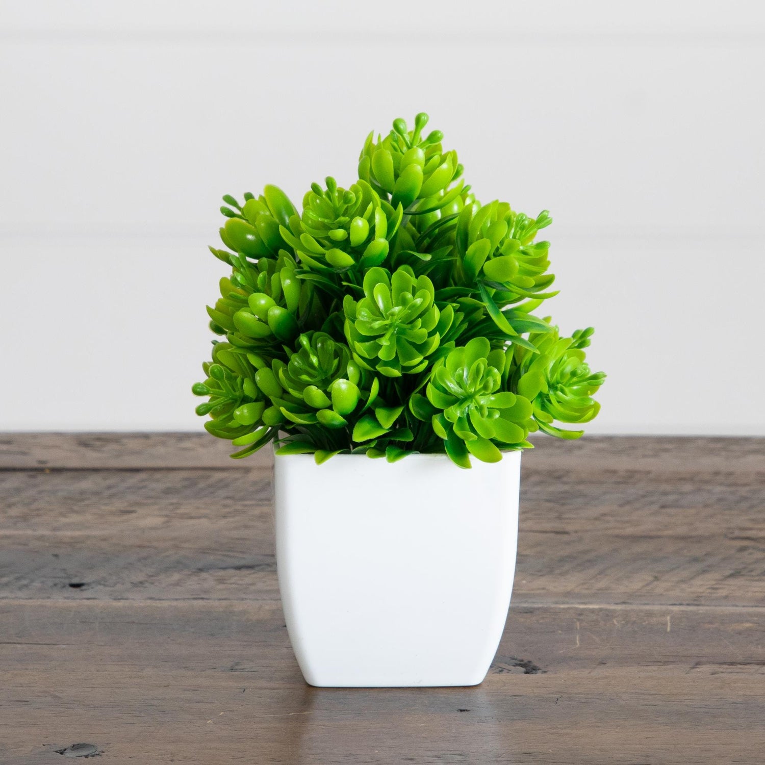 6” Artificial Mixed Succulent in White Square Pot - Set of 3