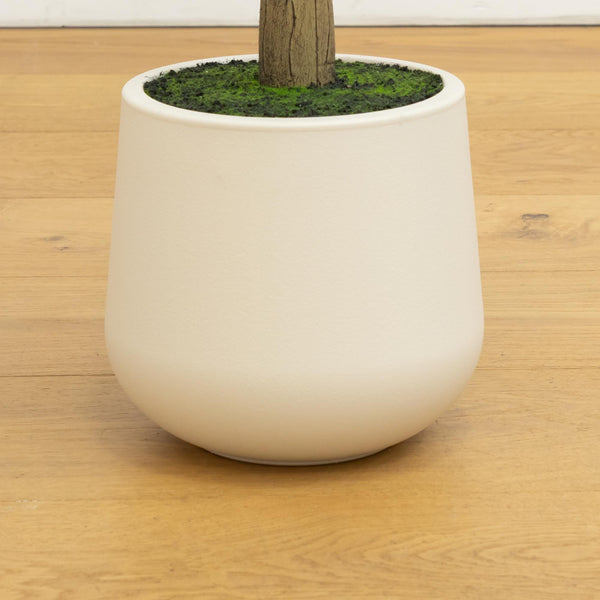 6’ Artificial Olive Tree in White Decorative Planter