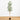 6’ Artificial Olive Tree with Natural Trunk