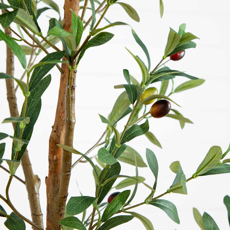 6’ Artificial Olive Tree with Natural Trunk | Nearly Natural