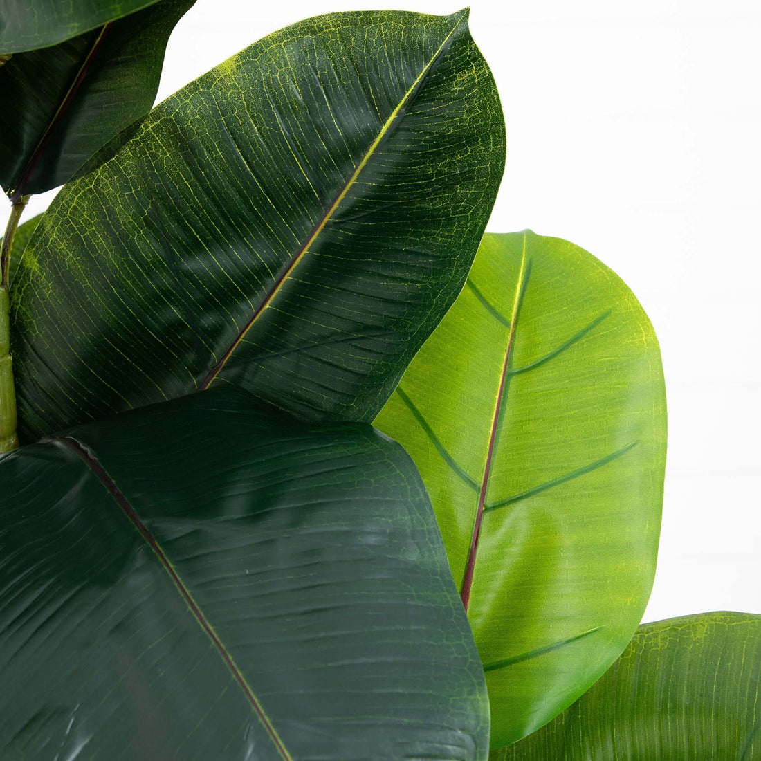 banana rubber tree Nearly Natural 6ft. Artificial Rubber Tree in Decorative Planter with Real Touch Leaves