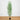 6' Artificial Shady Lady Black Olive Tree
