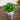 6” Artificial Succulent flowering Plant in Decorative Daisy Tin Planter -Set of 3