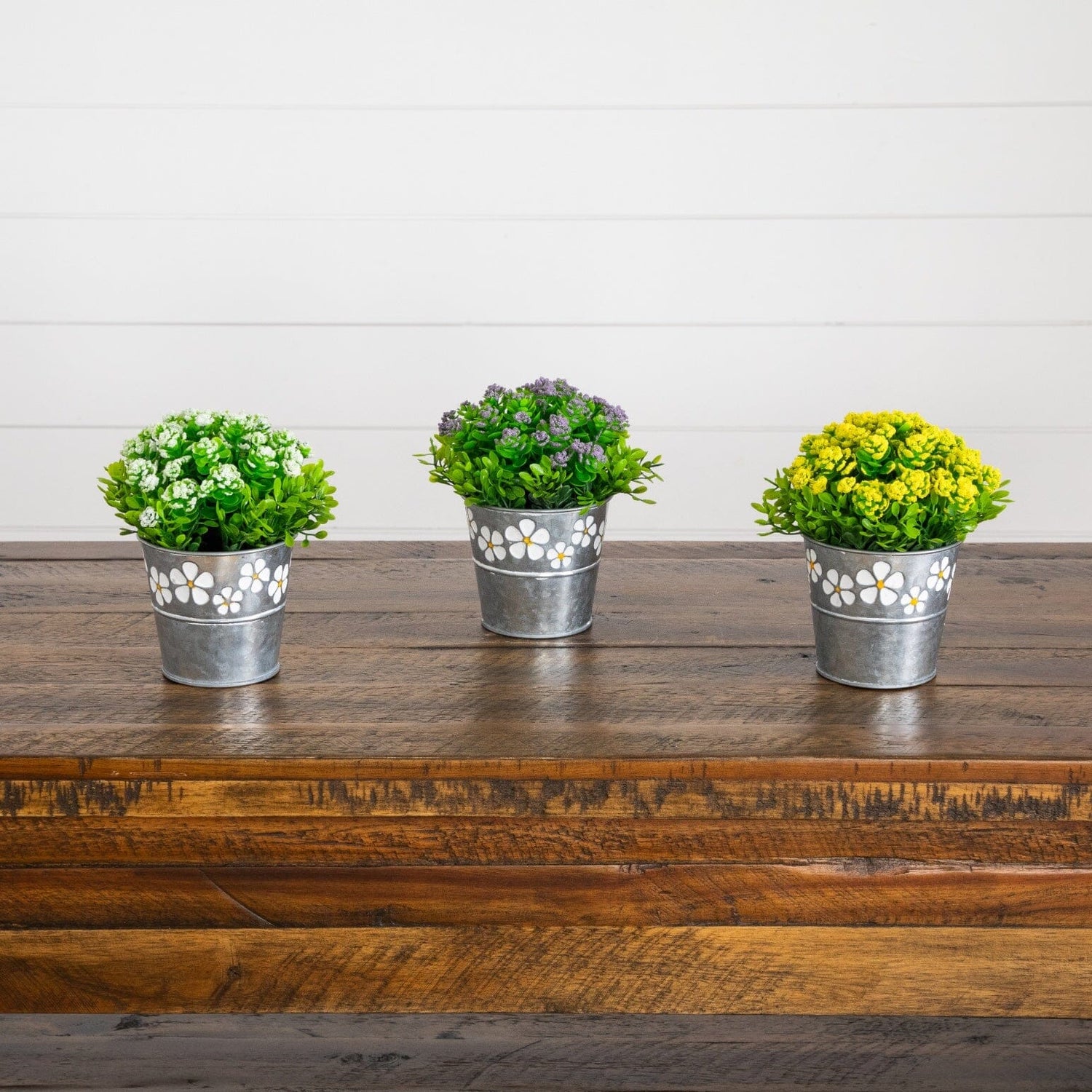 6” Artificial Succulent flowering Plant in Decorative Daisy Tin Planter -Set of 3