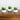 6" Artificial Succulent Garden in Ceramic White Planter - Set of 3