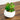 6" Artificial Succulent Garden in Ceramic White Planter - Set of 3