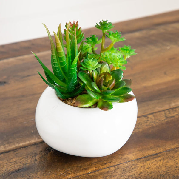 6" Artificial Succulent Garden in Ceramic White Planter - Set of 3