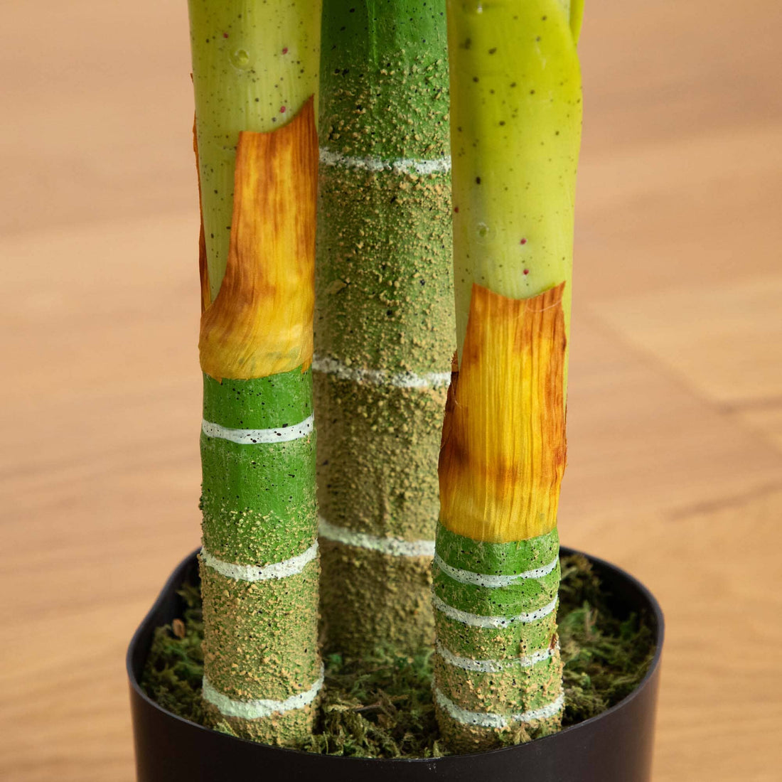 artificial lucky bamboo stems 6' Artificial Triple Stalk Golden Cane Palm Tree- Set of 2
