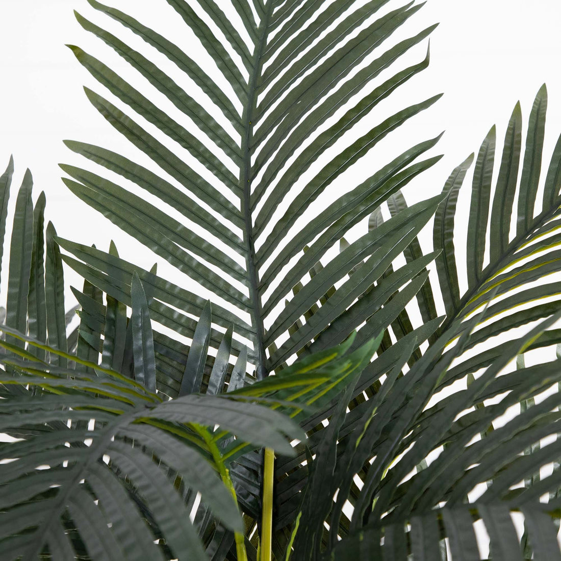 fake majesty palm plant 6’ Artificial Triple Stalk Golden Cane Palm Tree- Set of 2