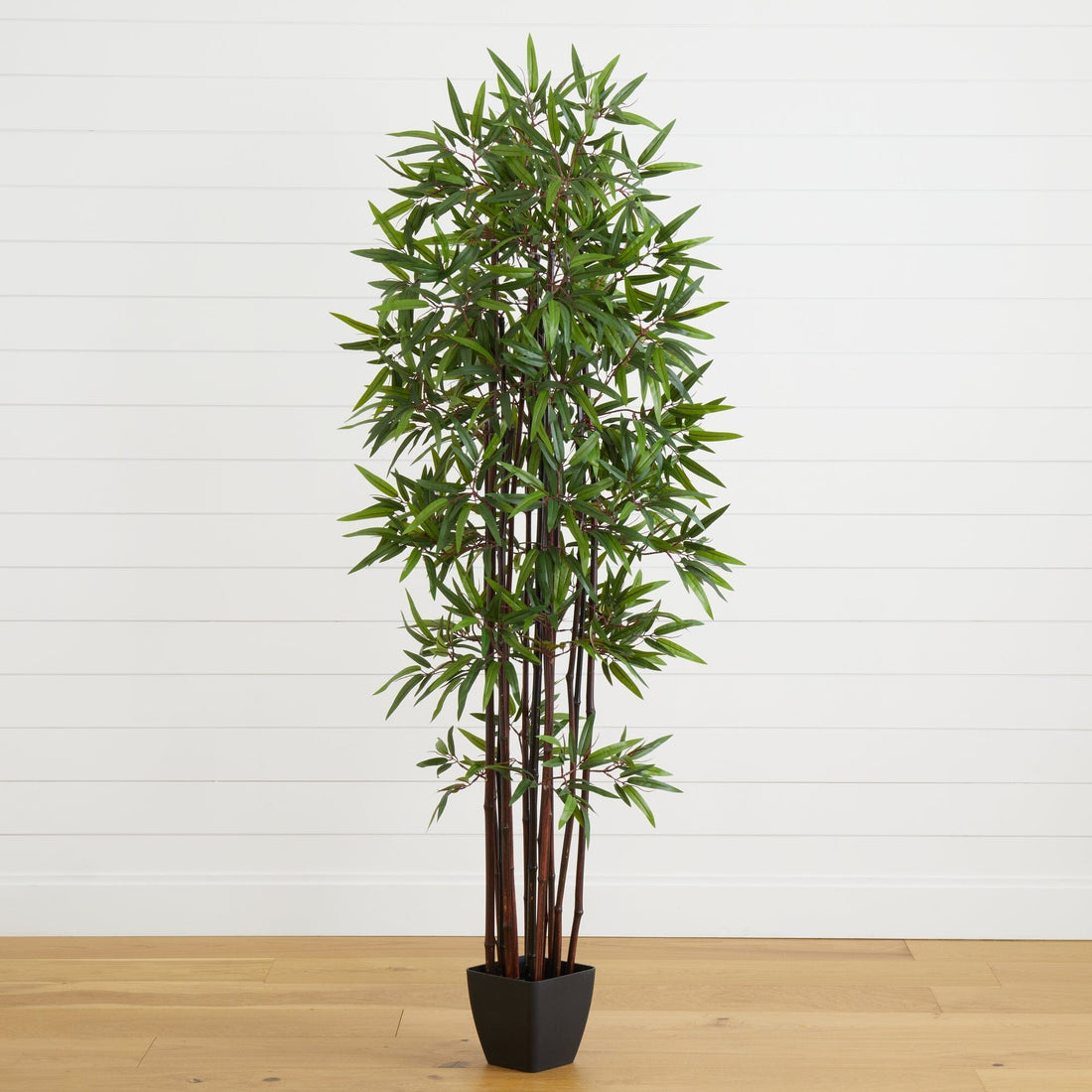 indoor artificial floor standing plants 6' Bamboo Silk Tree w/Planter