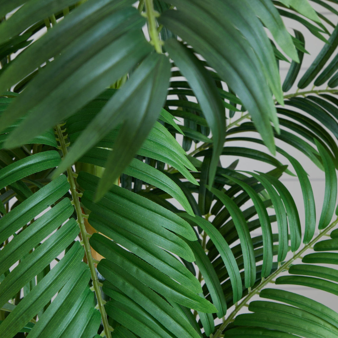 parlor palm tree for sale Nearly Natural 6 ft. Curvy Parlor Palm Silk Tree