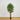 6'  Fancy Style Bamboo Silk Tree