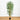 6'  Fancy Style Slim Bamboo Silk Tree