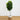 6’ Fiddle Leaf Fig Artificial Tree in Handmade Natural Jute and Cotton Planter