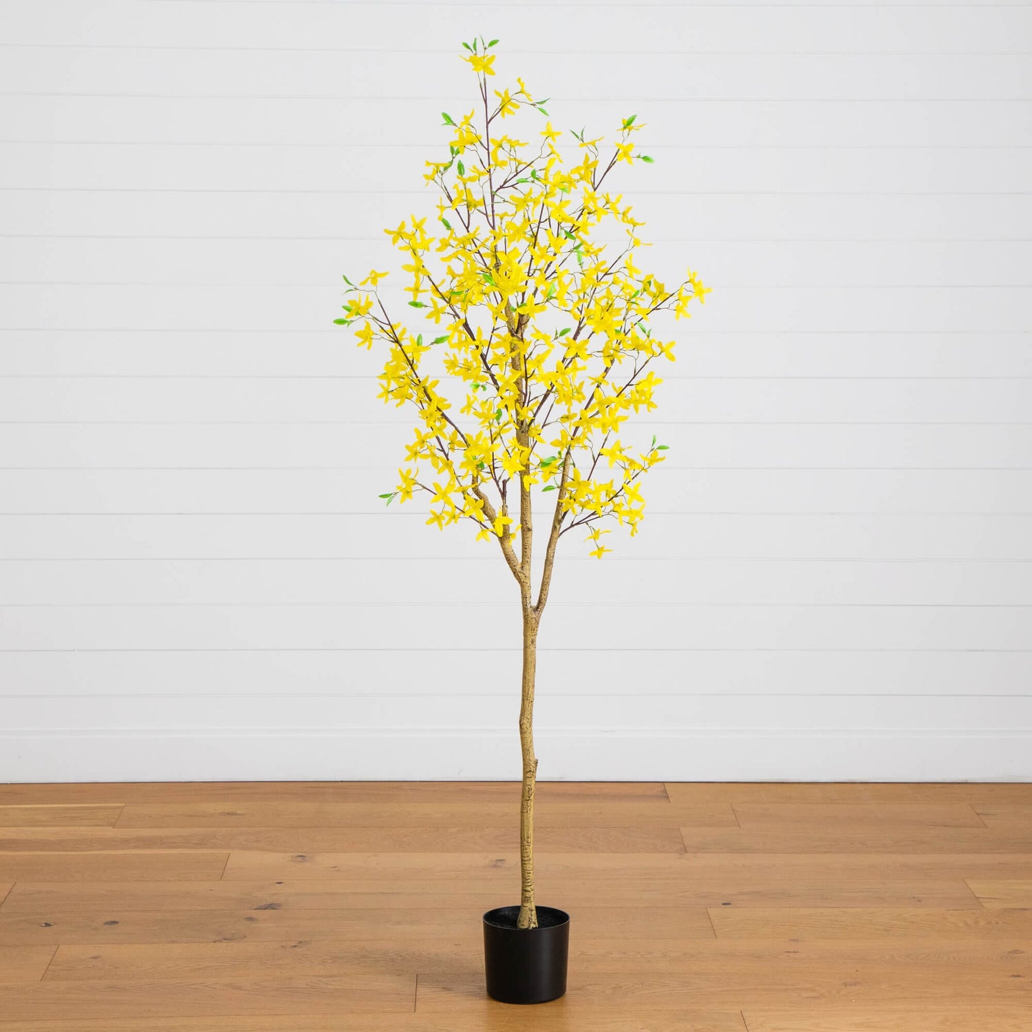 can i plant forsythia in a pot 6' Artificial Forsythia Tree – Nearly Natural