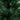 6' Artificial Green Pampas Grass Christmas Tree
