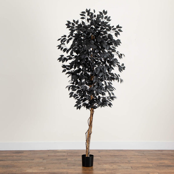 6' Artificial Halloween Black Ficus Tree with Natural Trunk