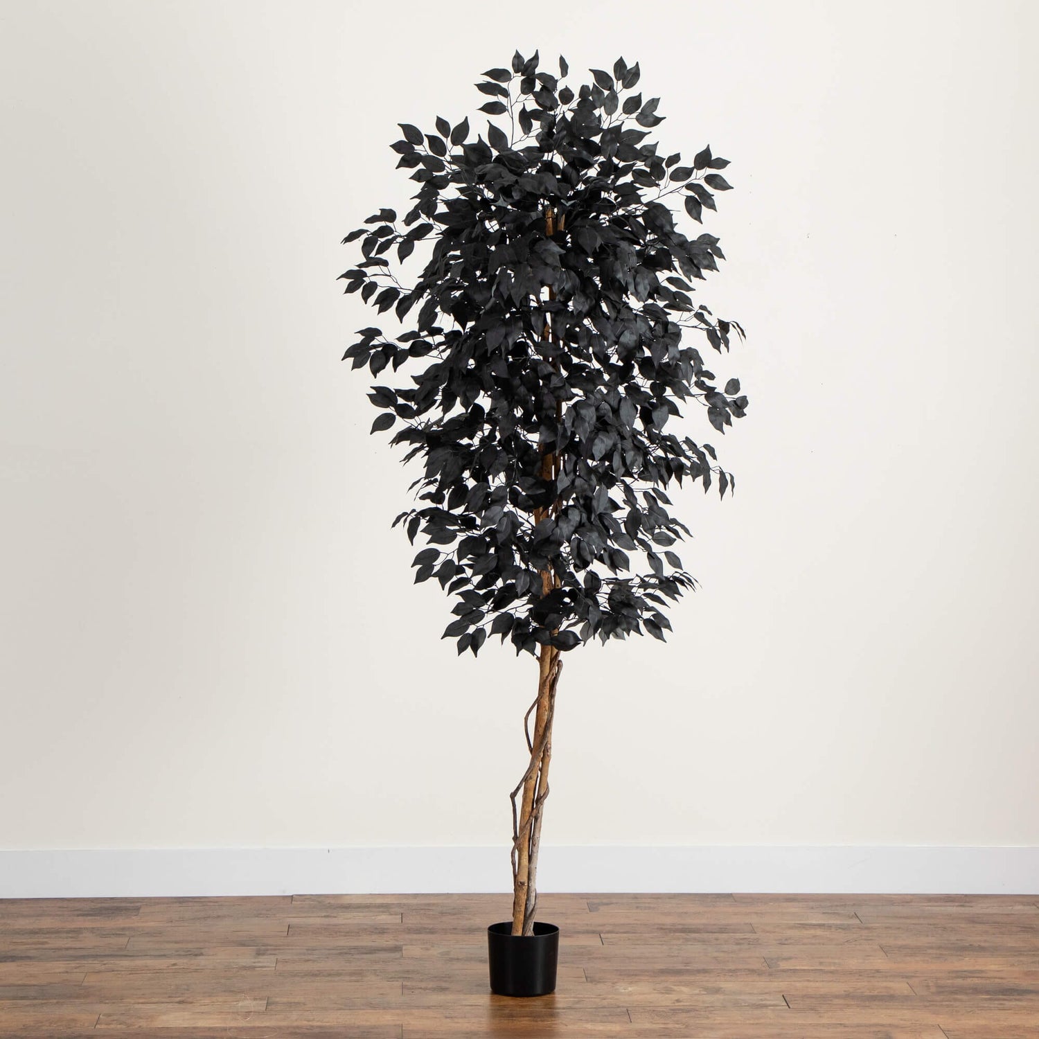 6' Artificial Halloween Black Ficus Tree with Natural Trunk