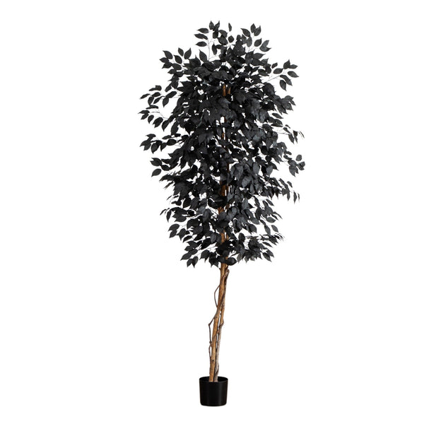 6' Artificial Halloween Black Ficus Tree with Natural Trunk