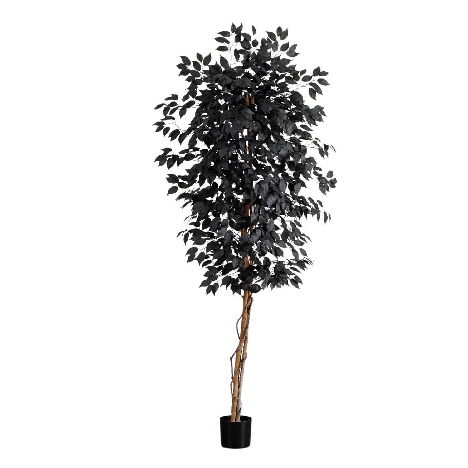 6' Artificial Halloween Black Ficus Tree with Natural Trunk