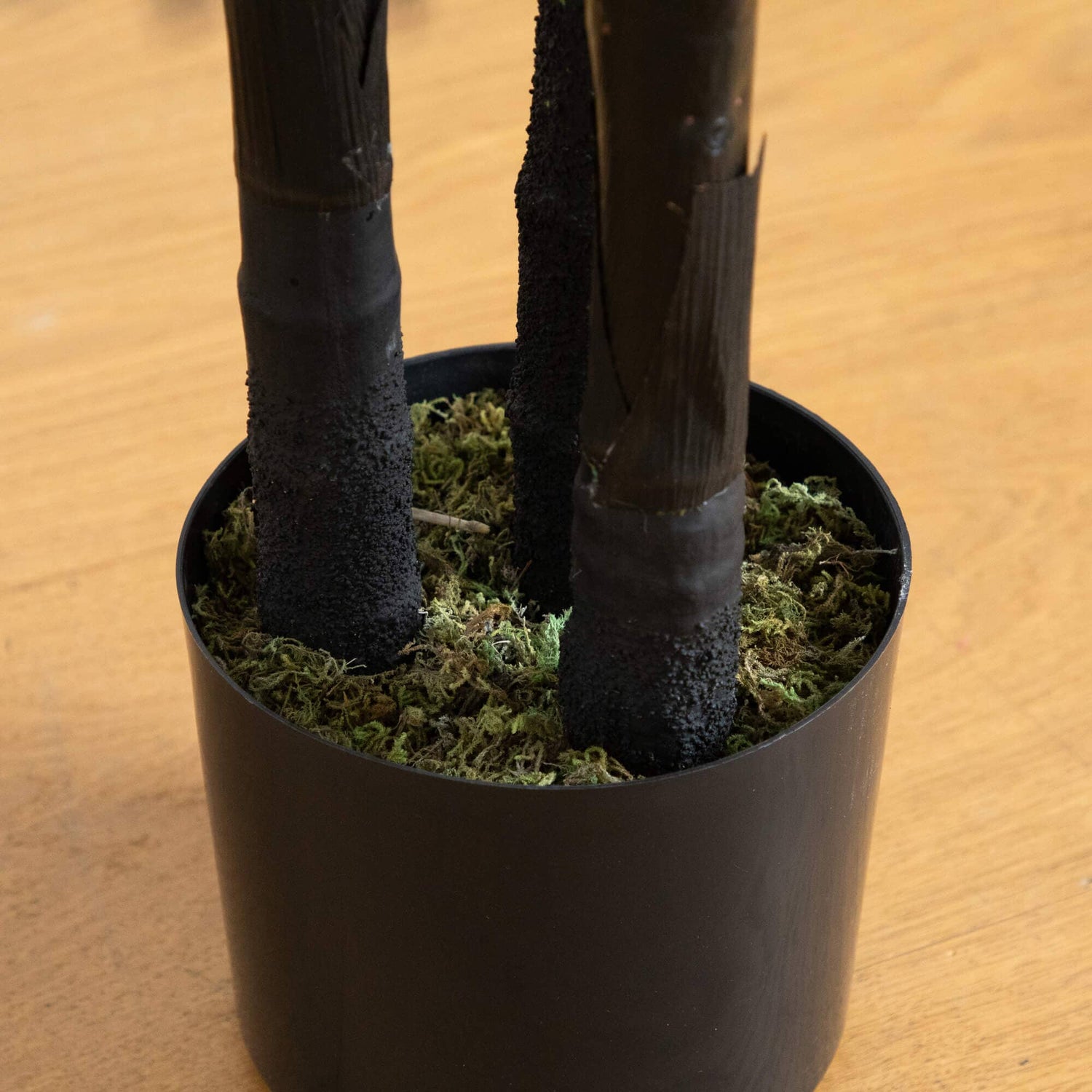 6' Artificial Halloween Black Golden Cane Tree