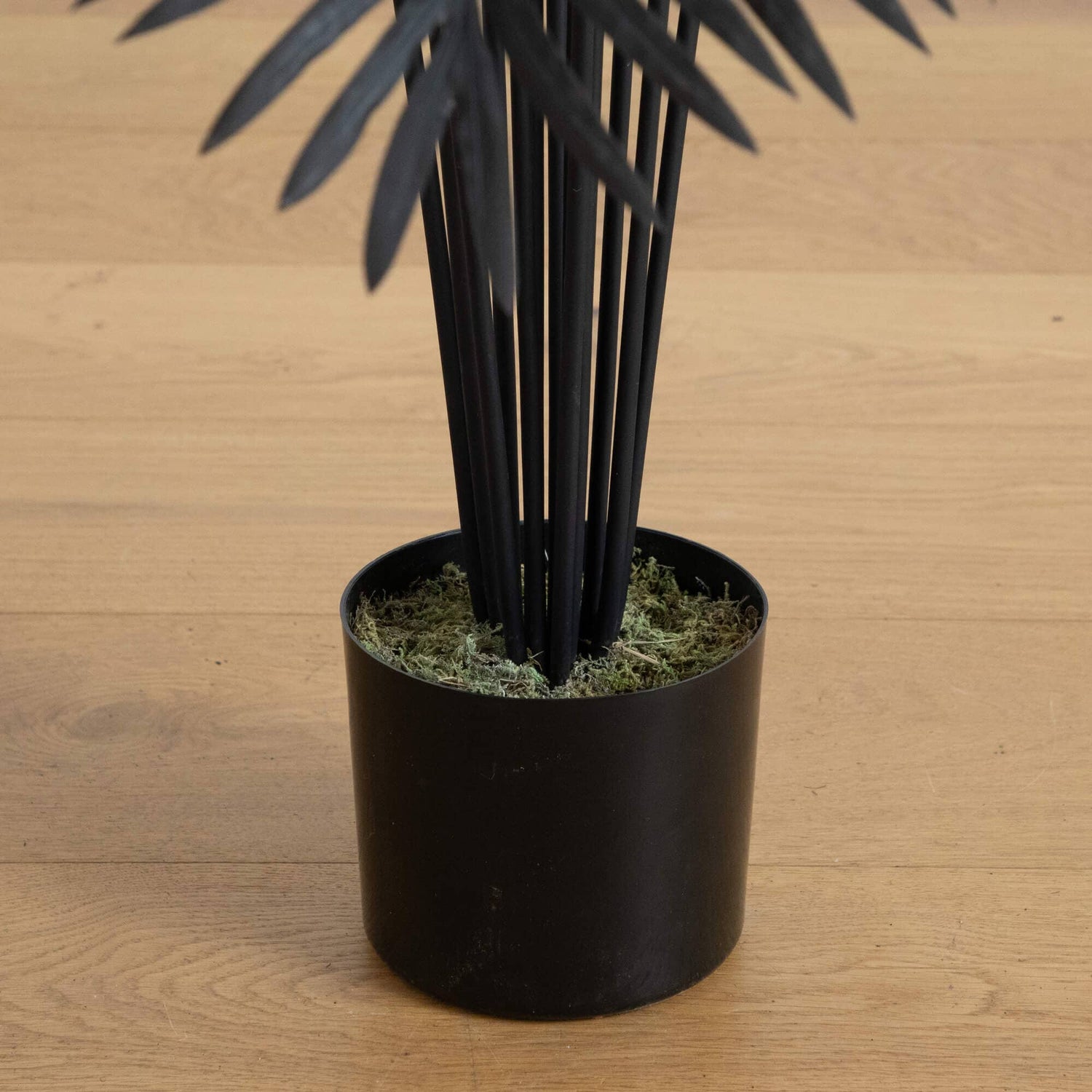 6' Artificial Halloween Black Paradise Palm Tree