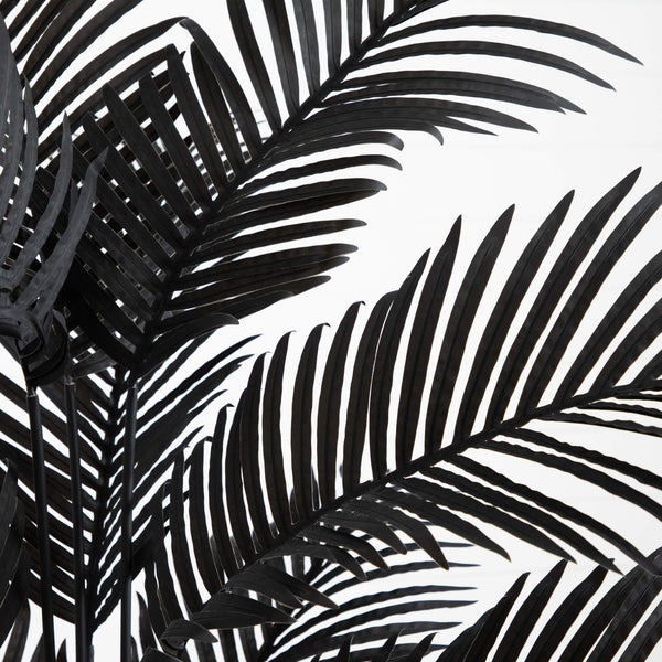 6' Artificial Halloween Black Paradise Palm Tree