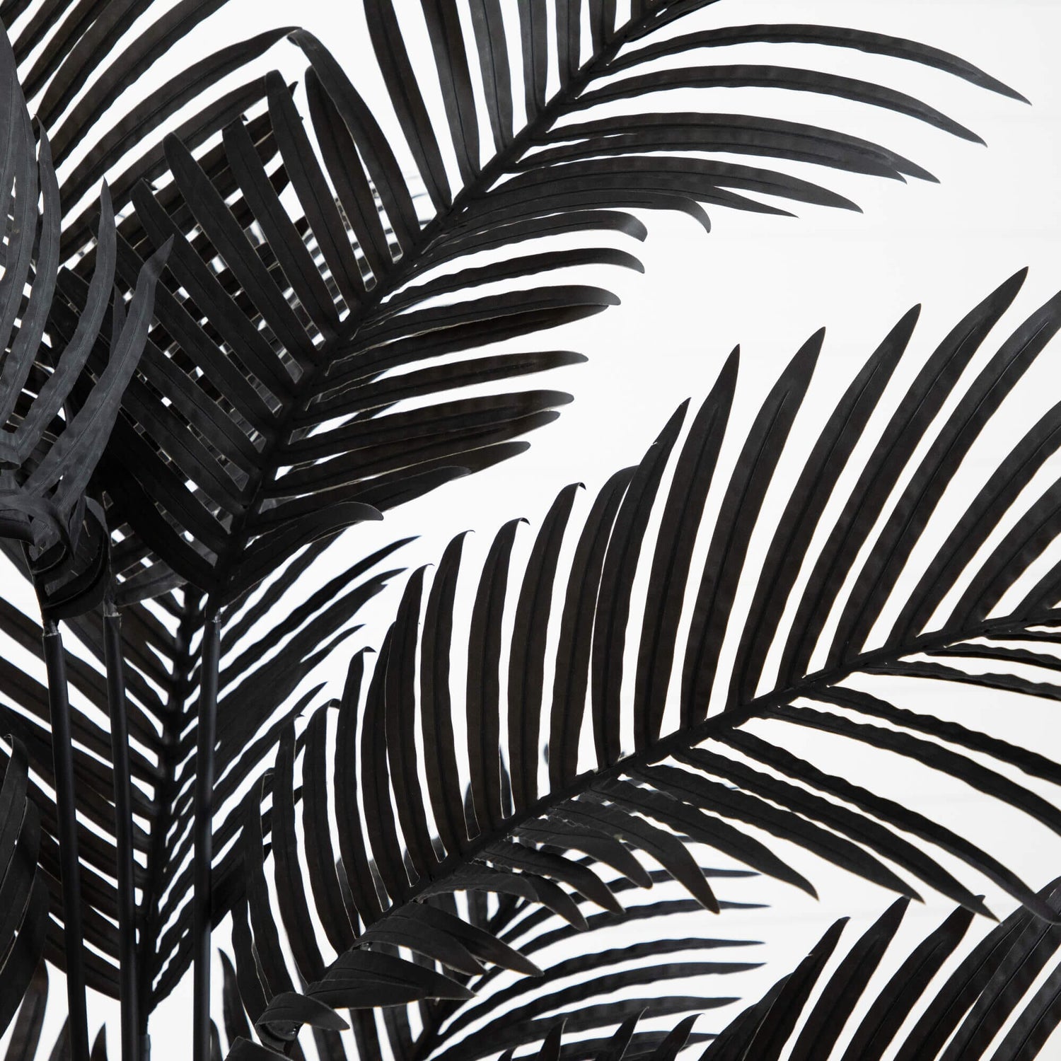 6' Artificial Halloween Black Paradise Palm Tree