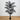6' Artificial Halloween Black Paradise Palm Tree