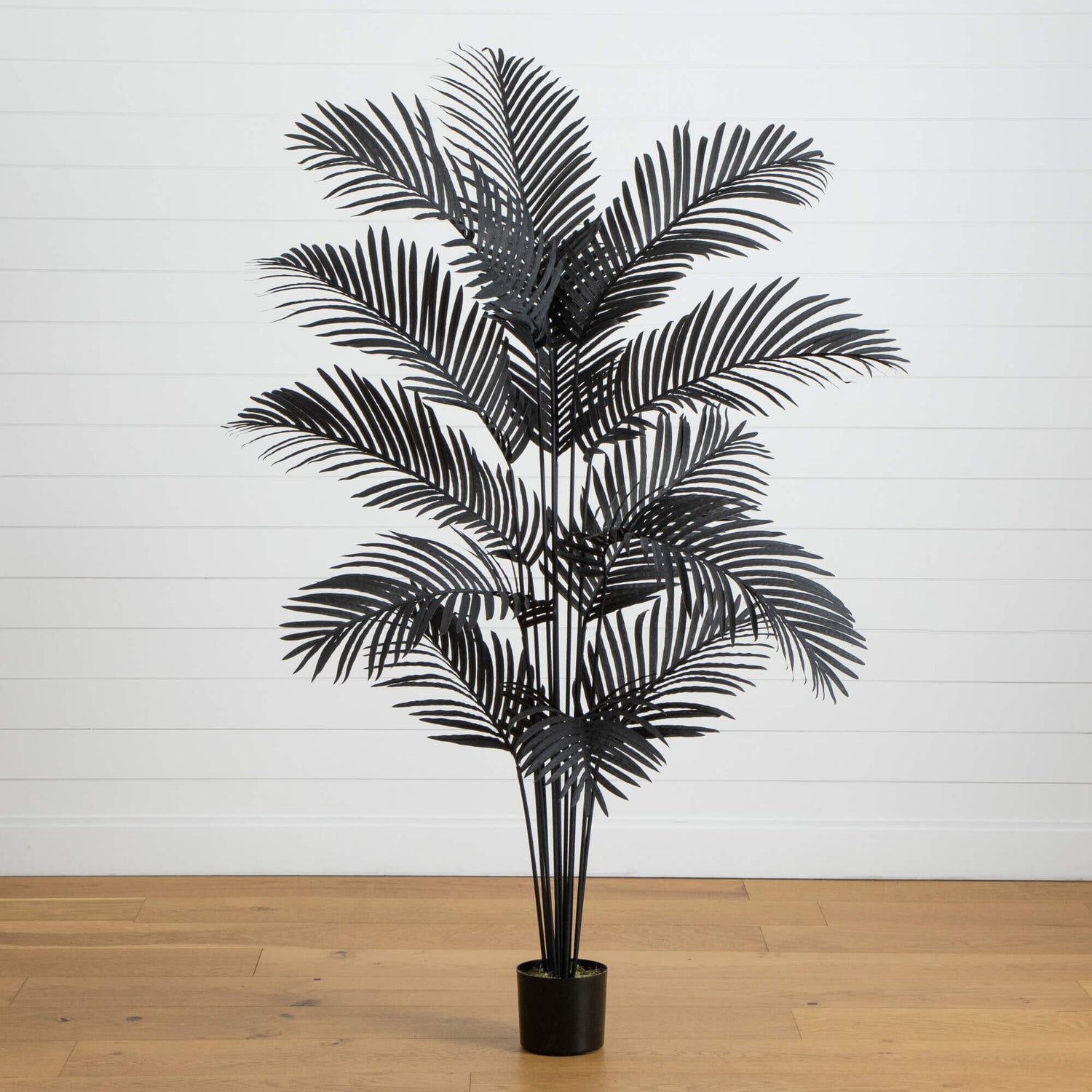 6' Artificial Halloween Black Paradise Palm Tree