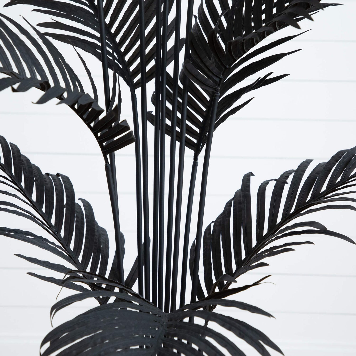 6' Artificial Halloween Black Paradise Palm Tree