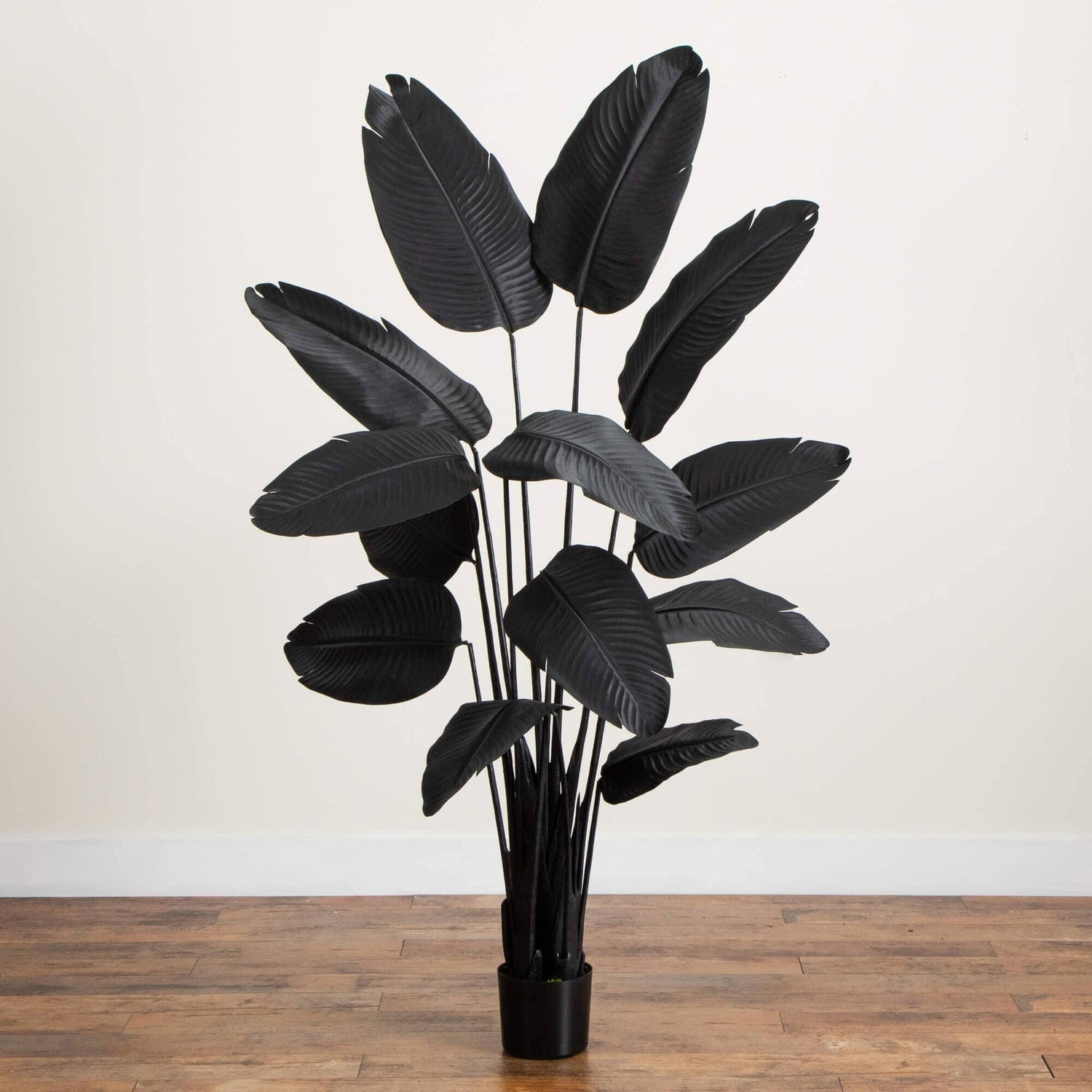 6' Artificial Halloween Black Travelers Palm Tree