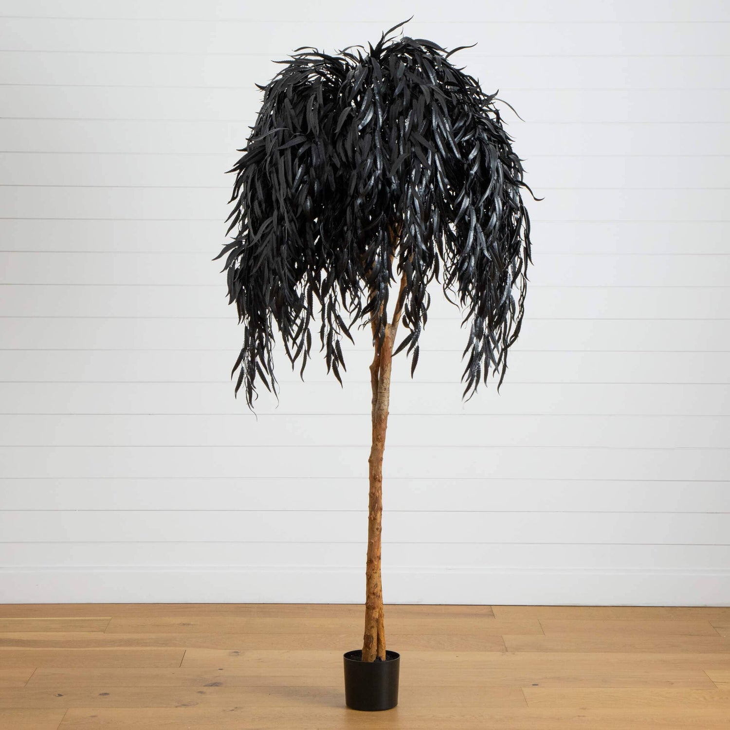 6' Artificial Halloween Black Willow Tree