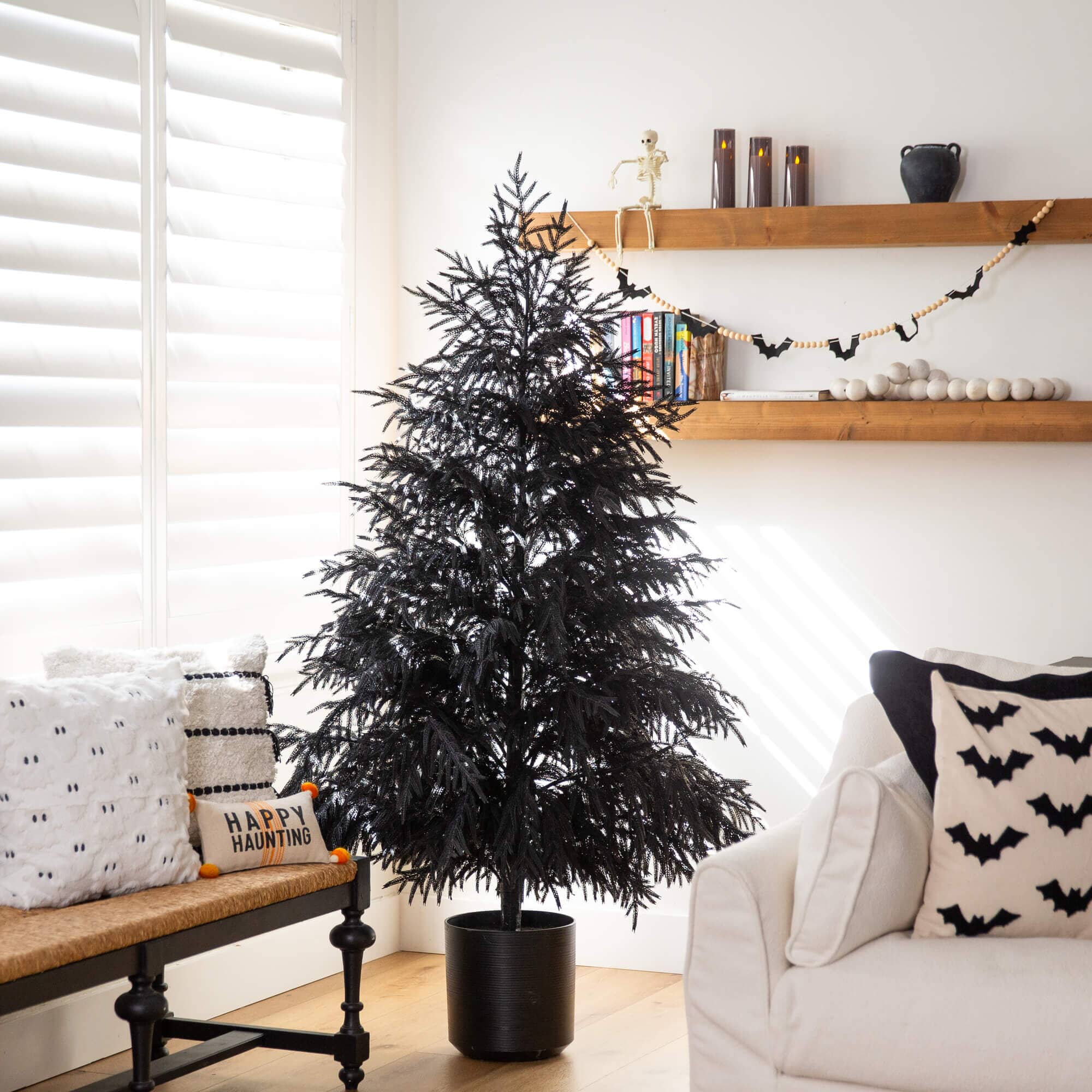 6' Artificial Halloween Real Touch Black Norfolk Pine Christmas