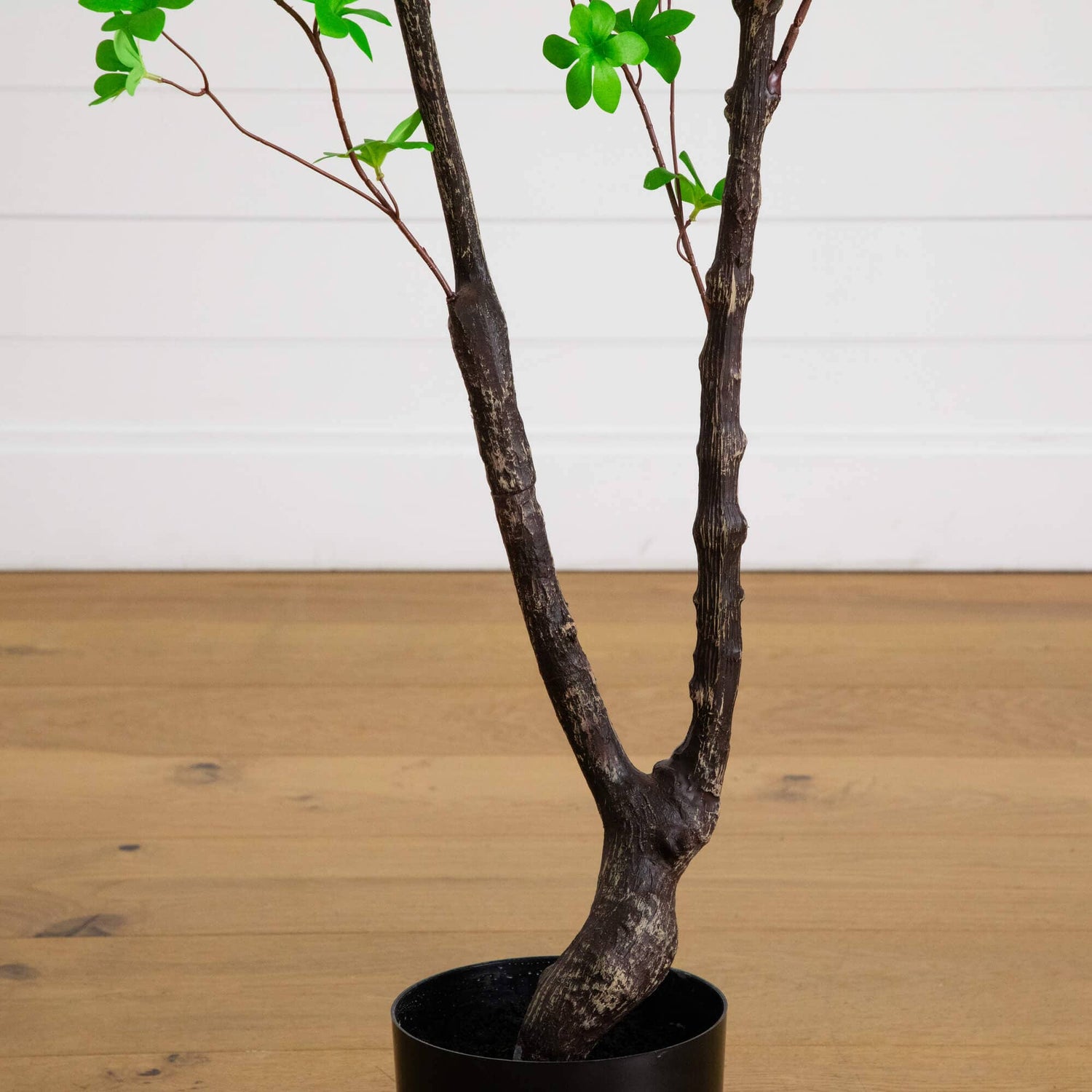 6' Artificial Minimalist Enkianthus Tree
