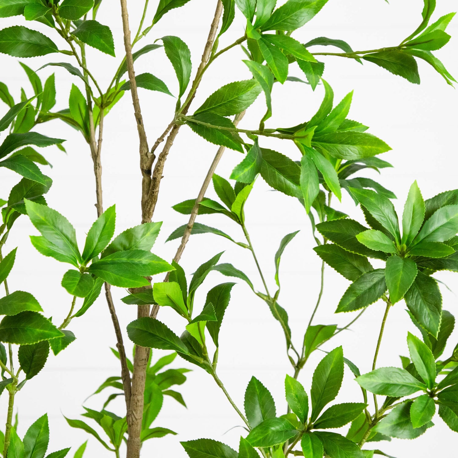 6-ft Artificial Minimalist Japanese Pieris Tree