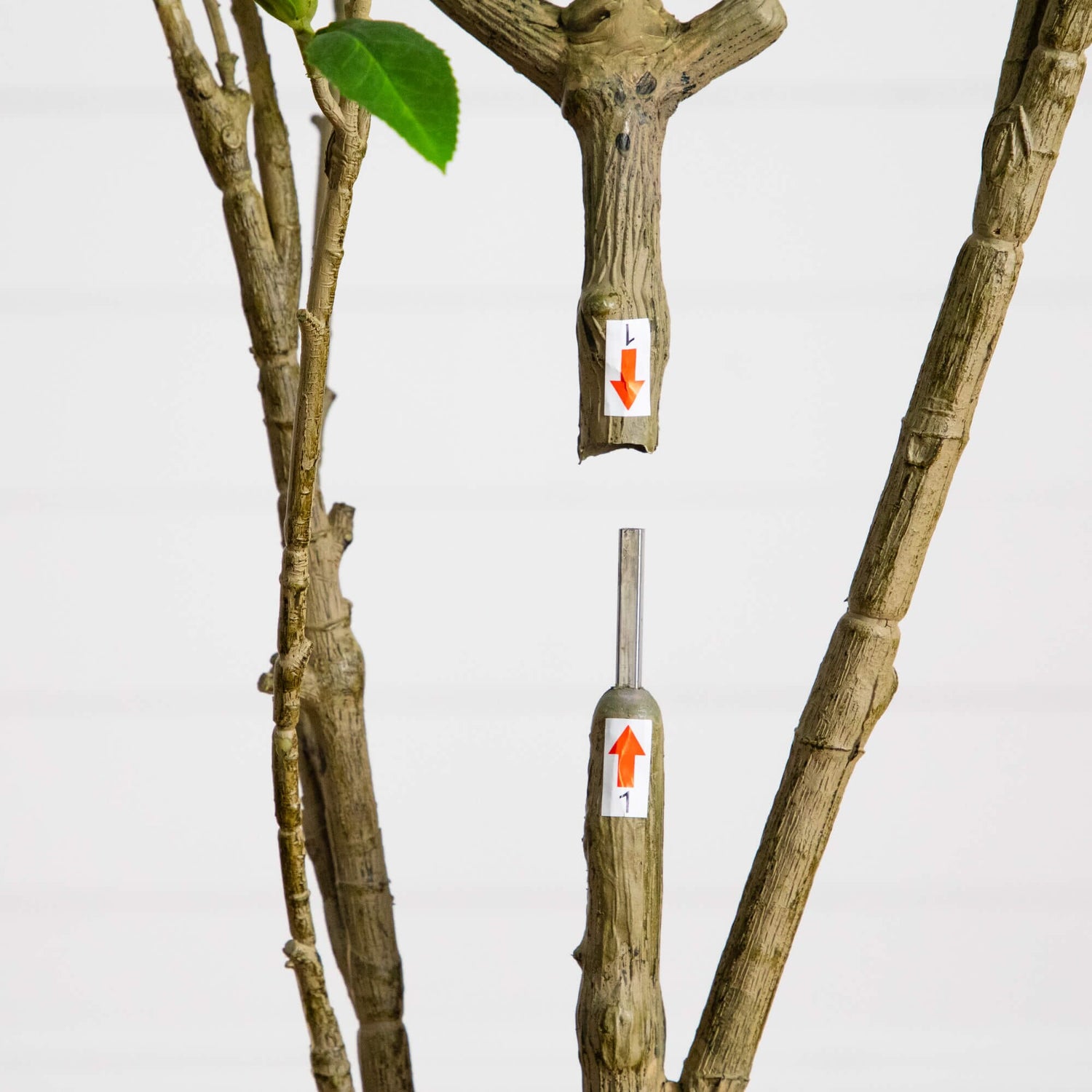 6-ft Artificial Minimalist Japanese Pieris Tree