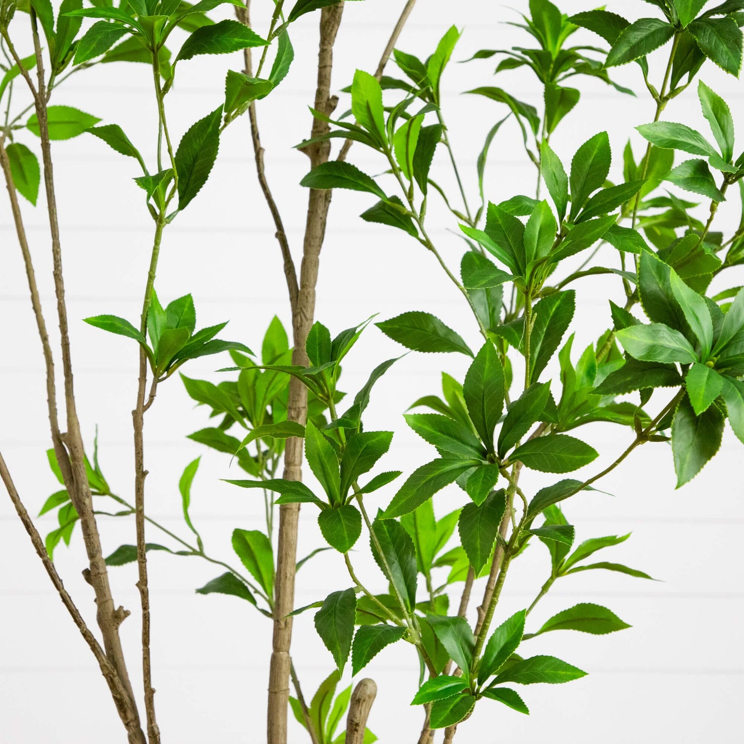6-ft Artificial Minimalist Japanese Pieris Tree
