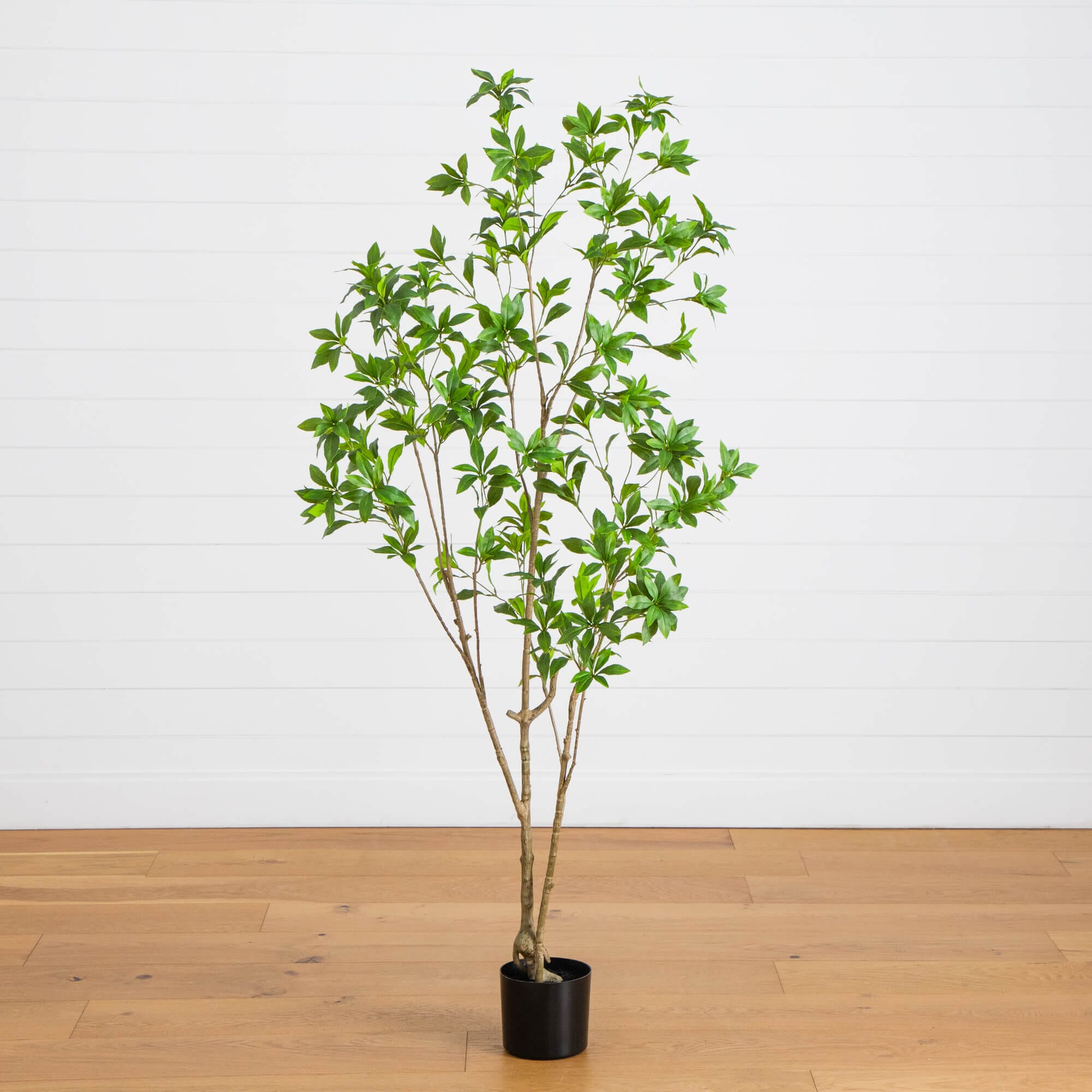 6' Artificial Minimalist Japanese Pieris Tree – Nearly Natural