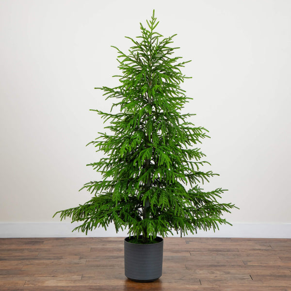 6' Artificial Real Touch Norfolk Island Pine Christmas Tree with Natural Look