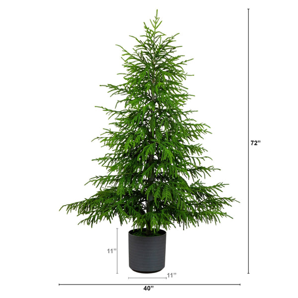 6' Artificial Real Touch Norfolk Island Pine Christmas Tree with Natural Look