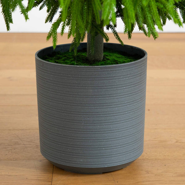 6' Artificial Real Touch Norfolk Island Pine Christmas Tree with Natural Look