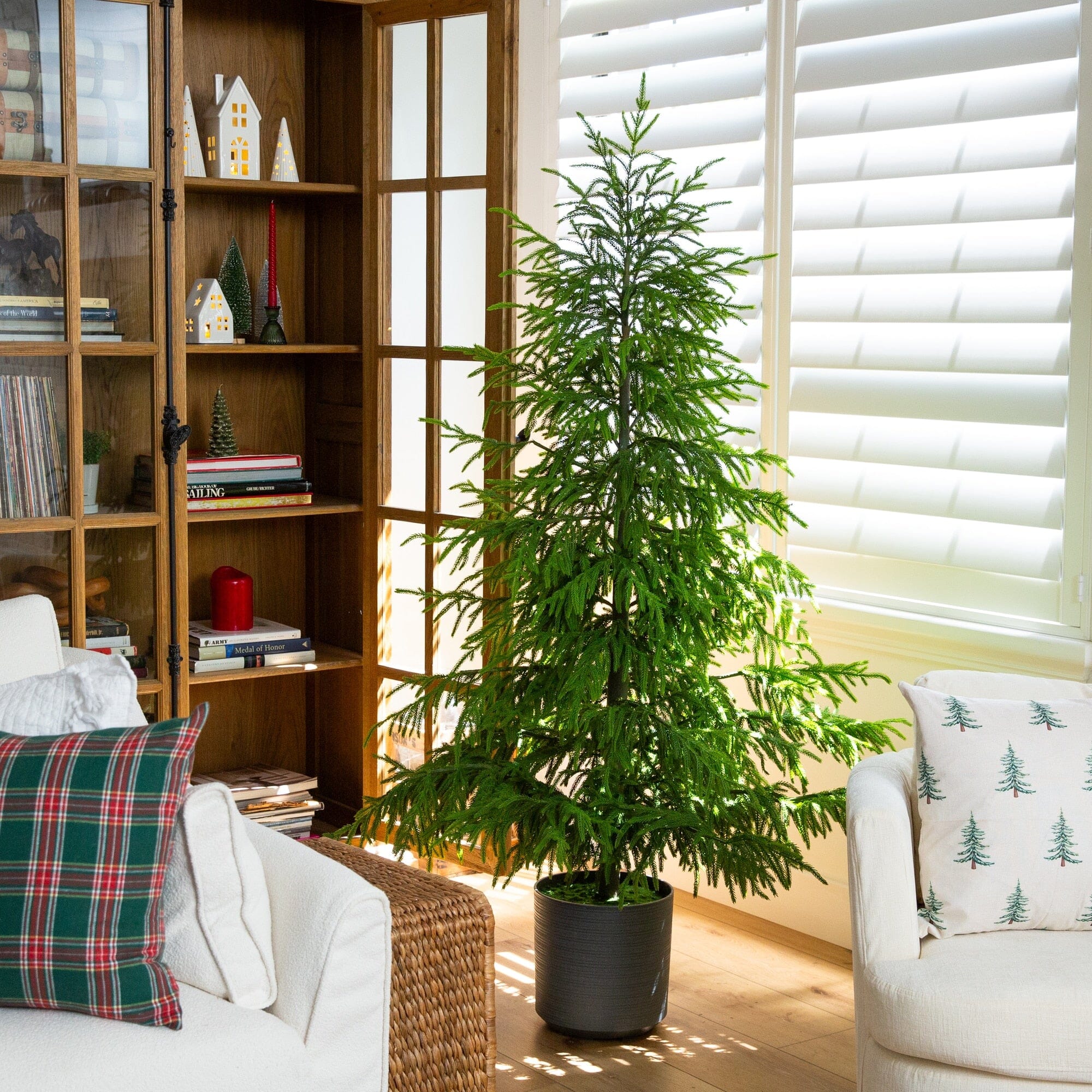 6' Artificial Real Touch Norfolk Island Pine Christmas Tree with