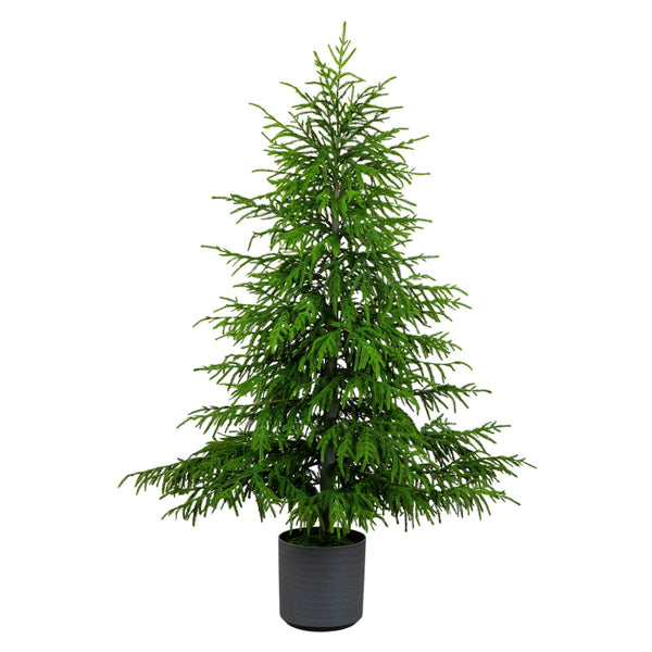 6' Artificial Real Touch Norfolk Island Pine Christmas Tree with Natural Look