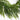 6' Artificial Real Touch Norfolk Island Pine Garland with Natural Look