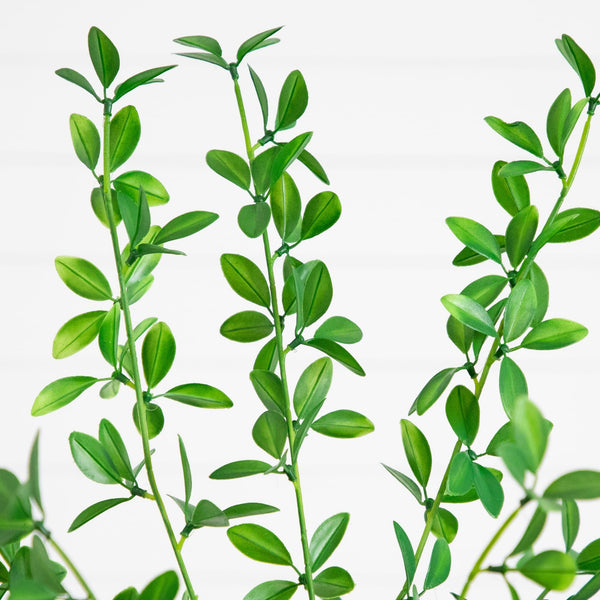 6' Artificial Shady Lady Black Olive Tree