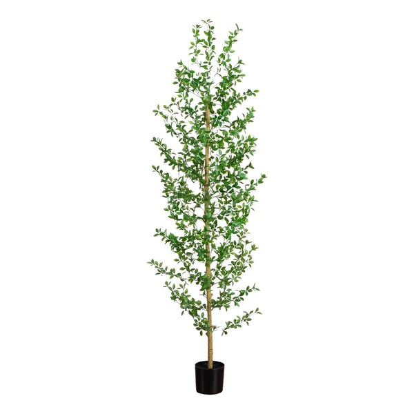 6' Artificial Shady Lady Black Olive Tree
