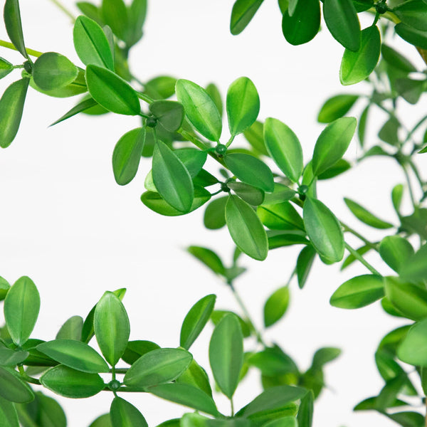 6' Artificial Shady Lady Black Olive Tree