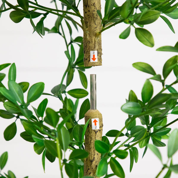 6' Artificial Shady Lady Black Olive Tree